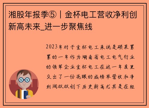 湘股年报季⑤｜金杯电工营收净利创新高未来_进一步聚焦线