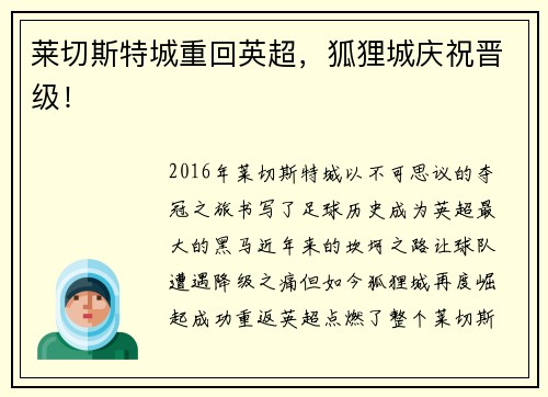 莱切斯特城重回英超，狐狸城庆祝晋级！