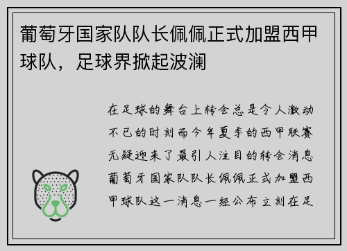 葡萄牙国家队队长佩佩正式加盟西甲球队，足球界掀起波澜
