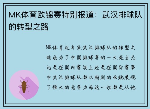 MK体育欧锦赛特别报道：武汉排球队的转型之路
